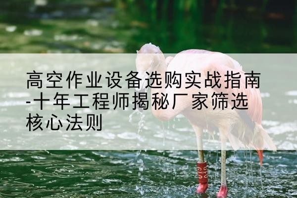 行唐剪叉式升降机厂家-高空作业设备选购实战指南-十年工程师揭秘厂家筛选核心法则