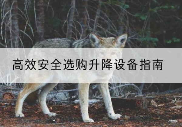 行唐升降货梯厂家推荐-*安全选购升降设备指南