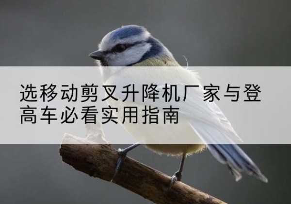 行唐电动升降机厂家-选移动剪叉升降机厂家与登高车必看实用指南