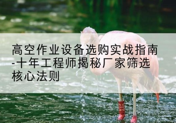 行唐剪叉式升降机厂家-高空作业设备选购实战指南-十年工程师揭秘厂家筛选核心法则